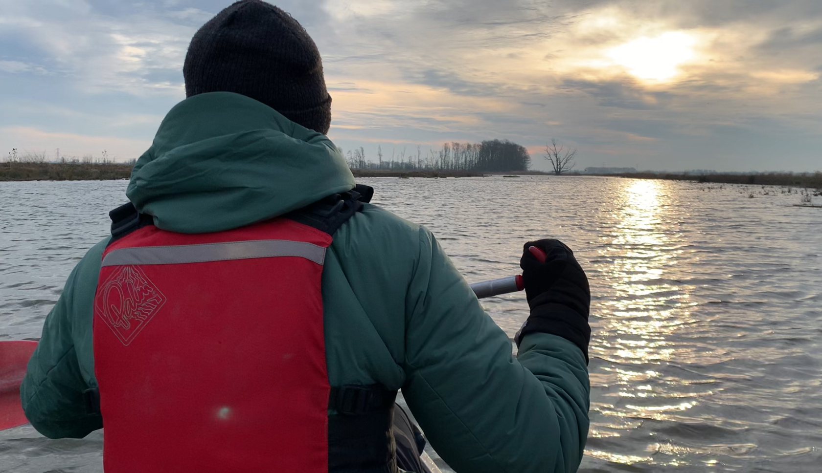 Kanoën in de Biesbosch is een bijzondere ervaring - helemaal als je een bever ziet!