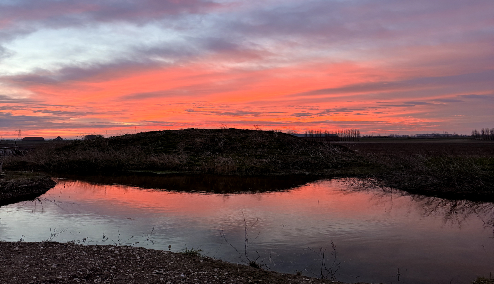 Zonsopgang in de Biesbosch