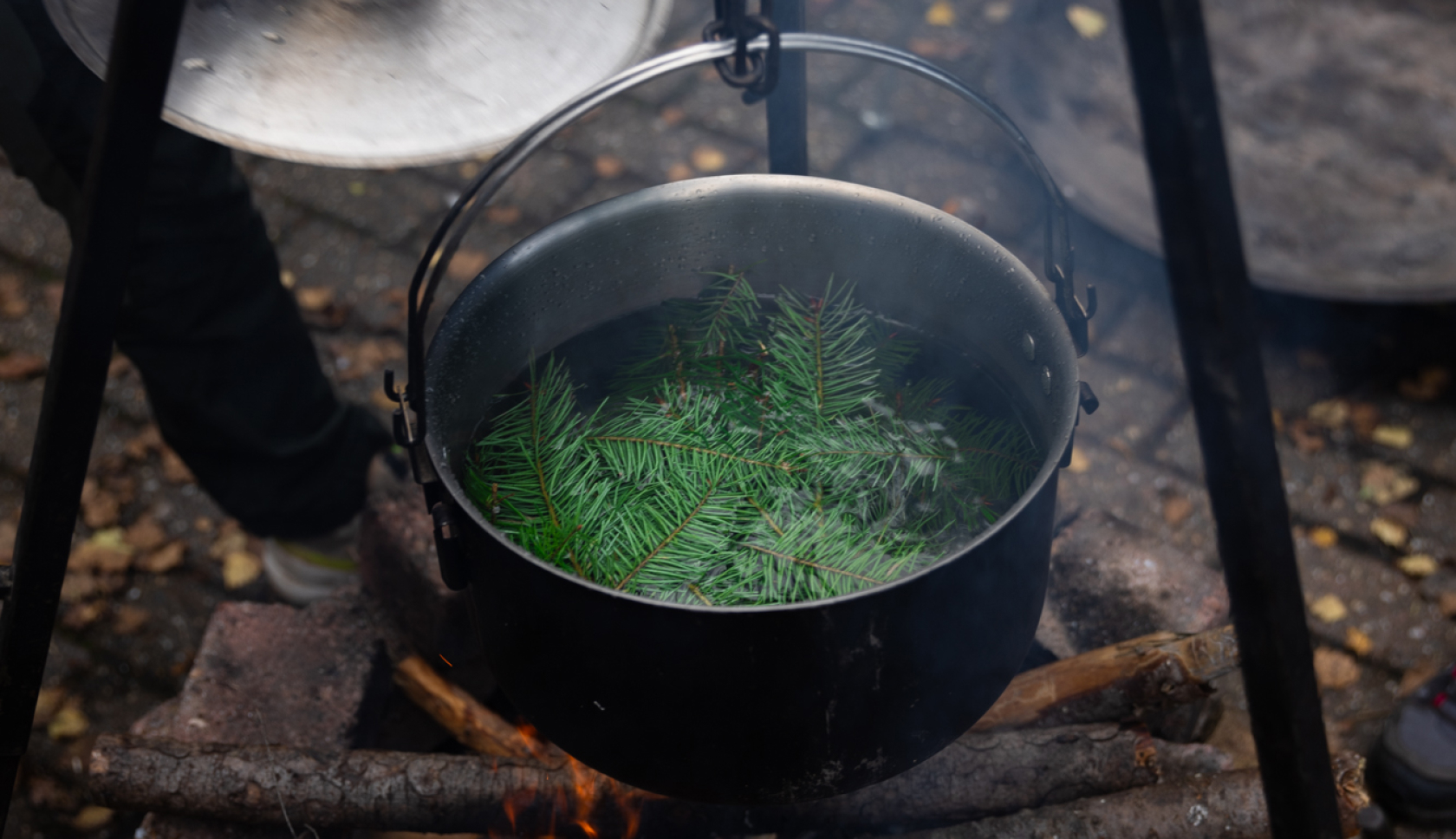 Dennennaalden worden gekookt in een pot met heet water