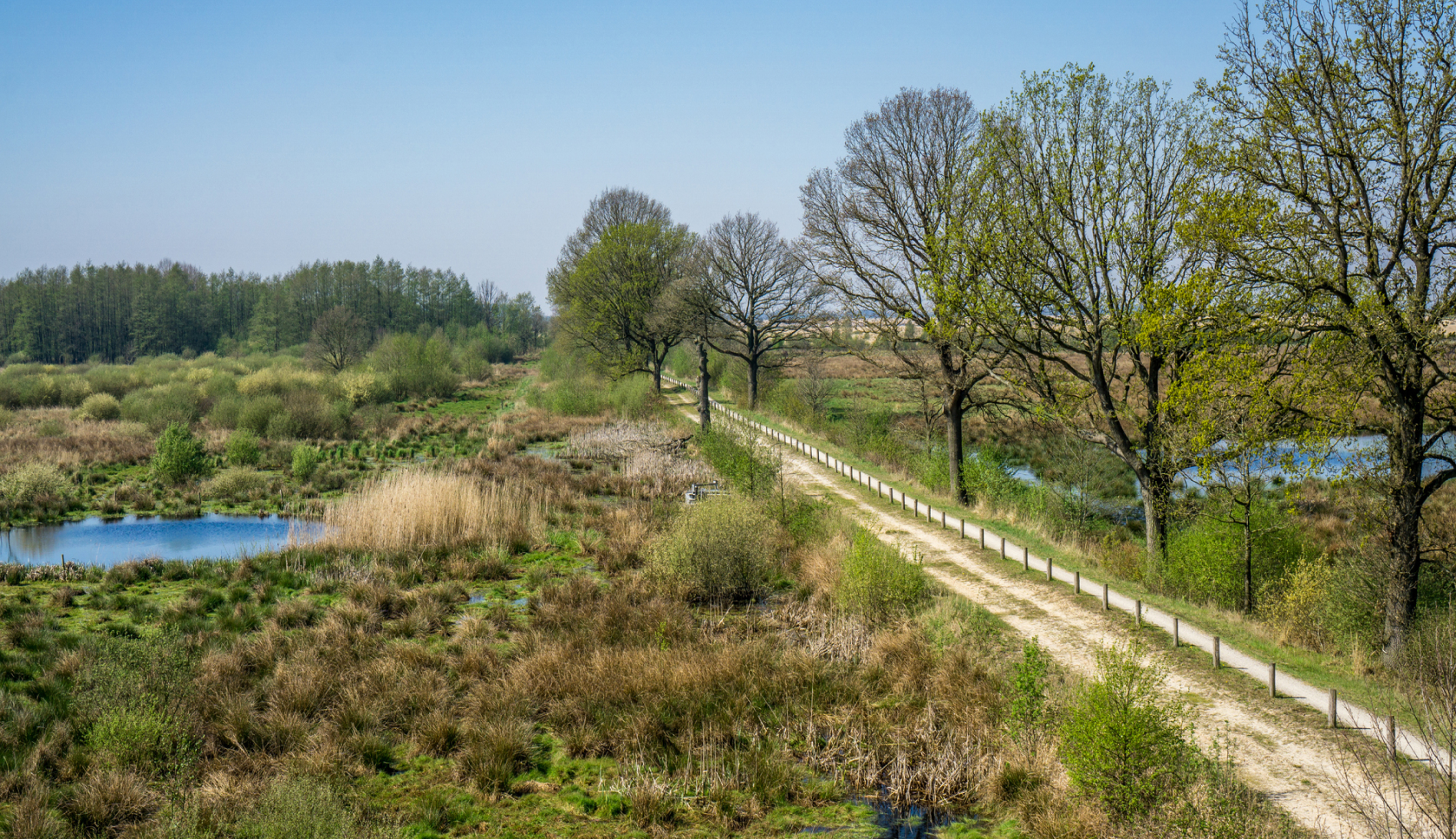 Sonntagskogel bij het Großartal: een groot kruis op een bergtop in het Oostenrijkse Salzburgerland