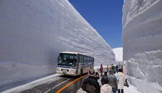 Leuke weetjes over de winter. Extreme records en gekke weetjes.