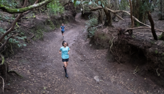 Een trail is een (semi-)onverhard paadje door de natuur. 