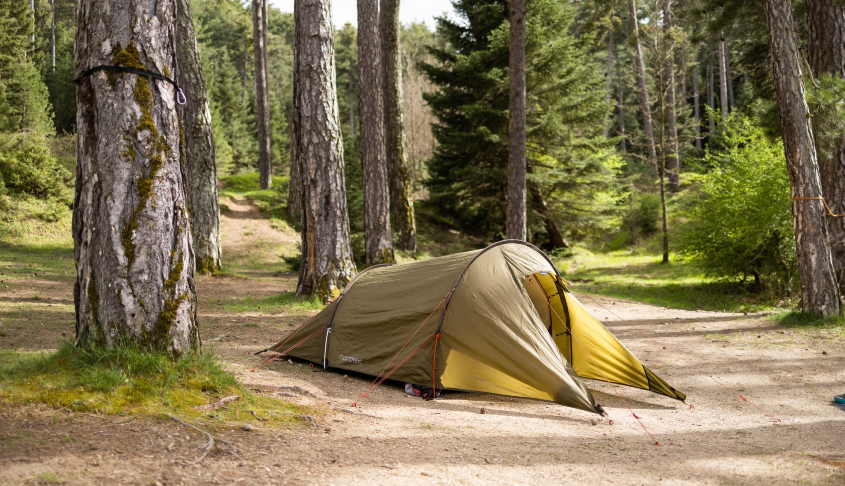 Een tent in een naaldbos