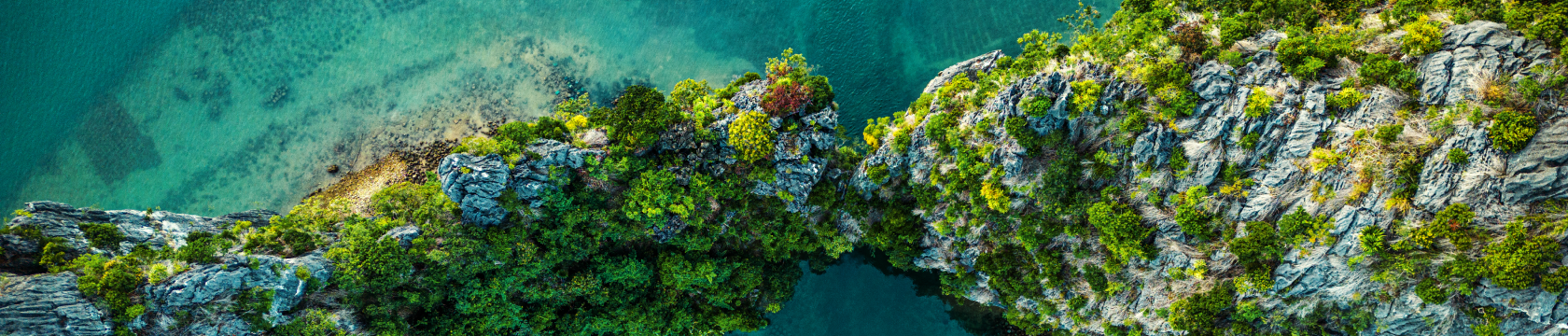 Een foto vanuit de lucht, kijkend op smaragdblauw water en met groen beklede rotsen