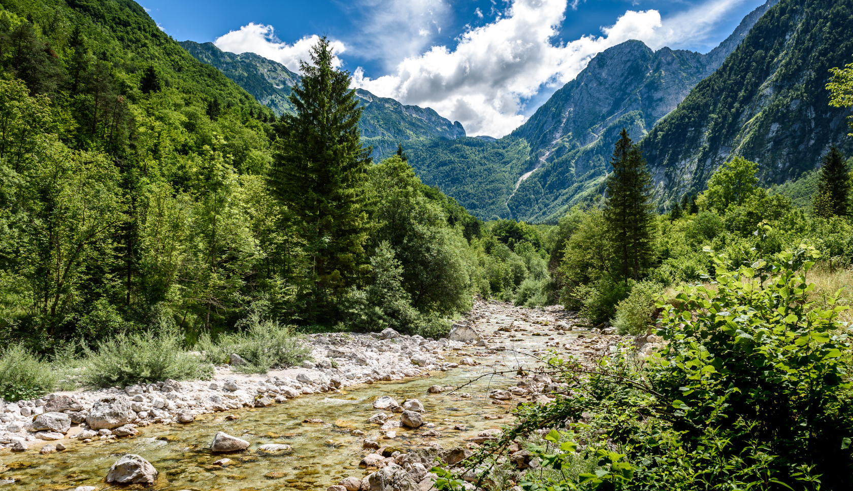 Een rivierbedding in de prachtige Julische Alpen in Slovenië