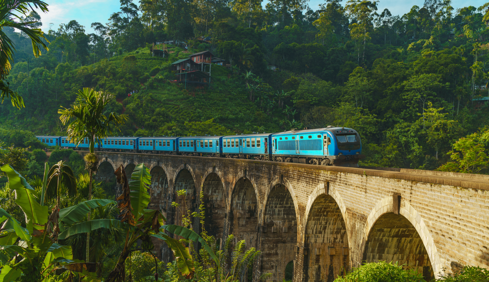 Een trein rijdt over een viaduct in de jungle