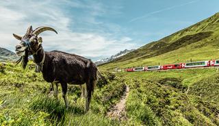 zwitserland-zomer-bestemming-vakantie-toerisme-trail-hiken-wandelen