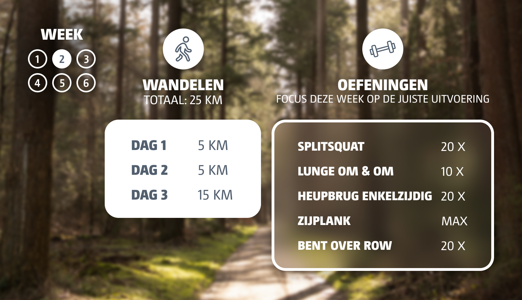 Trainingsschema week 2 voor langeafstandswandelingen 