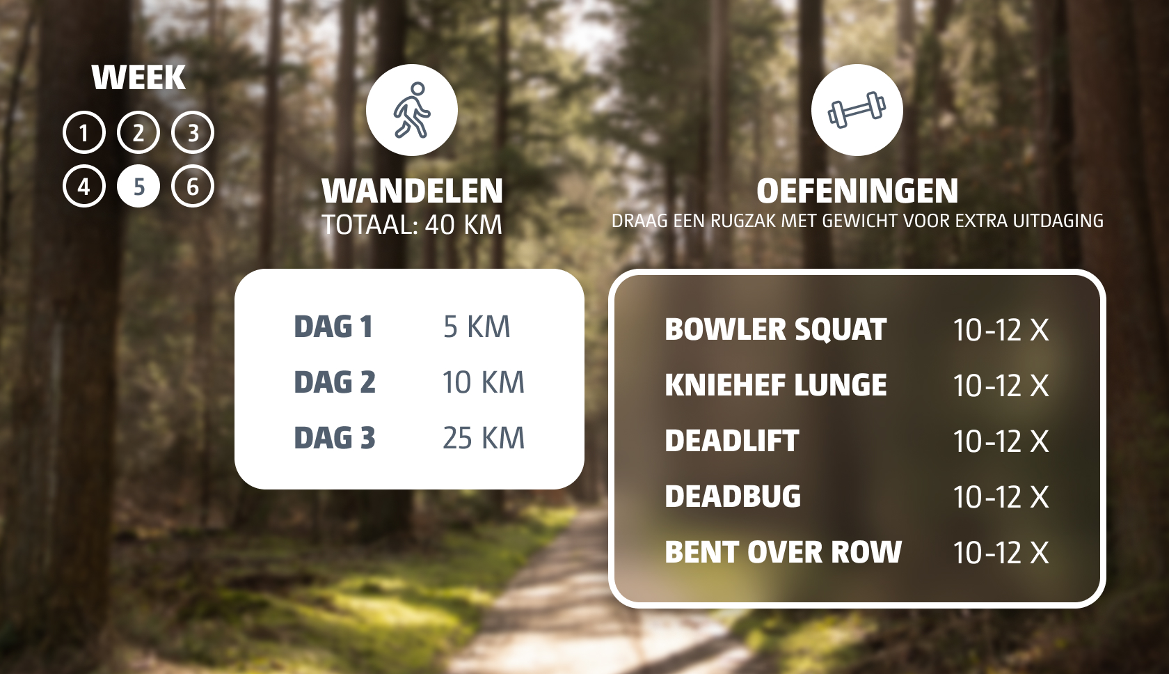 Trainingsschema week 5 voor langeafstandswandelingen 