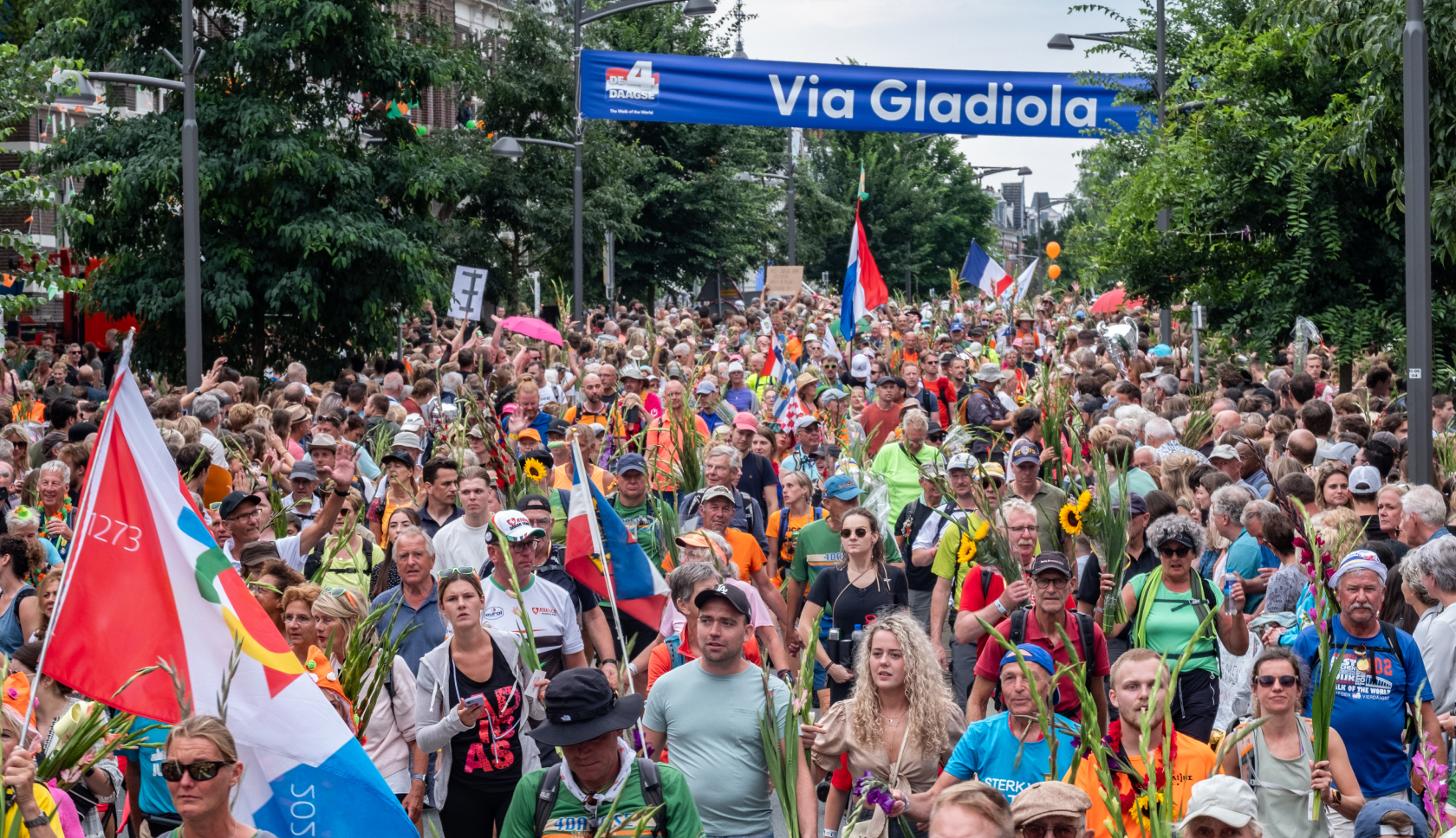 de Via Gladiola tijdens de Vierdaagse