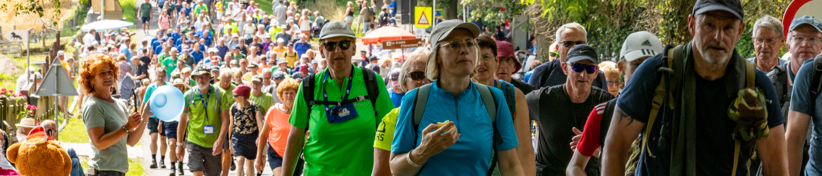 een stoet wandelaars tijdens de Nijmeegse Vierdaagse