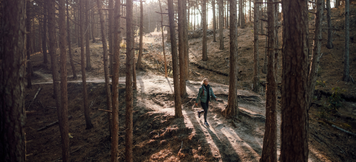 Winterwandeling in Nederland: de mooiste wandelroutes volgens Buitenexperts