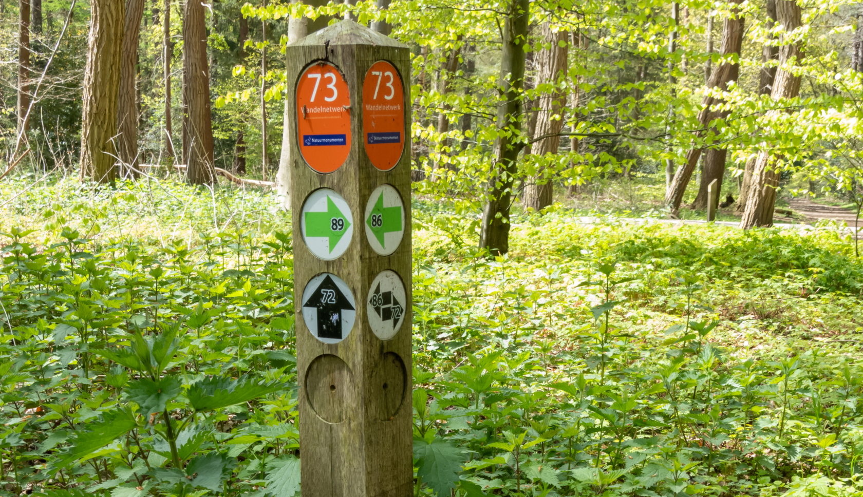 Een houten paaltje met gekleurde pijlen en het nummer 73 staat in een bos