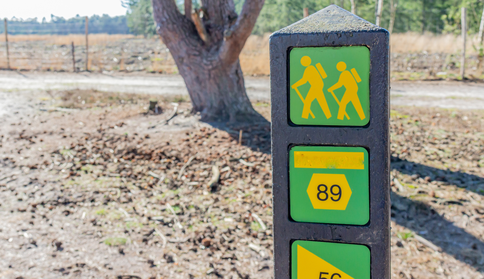 Een paal met een symbool met twee wandelaars en daaronder het routenummer 89