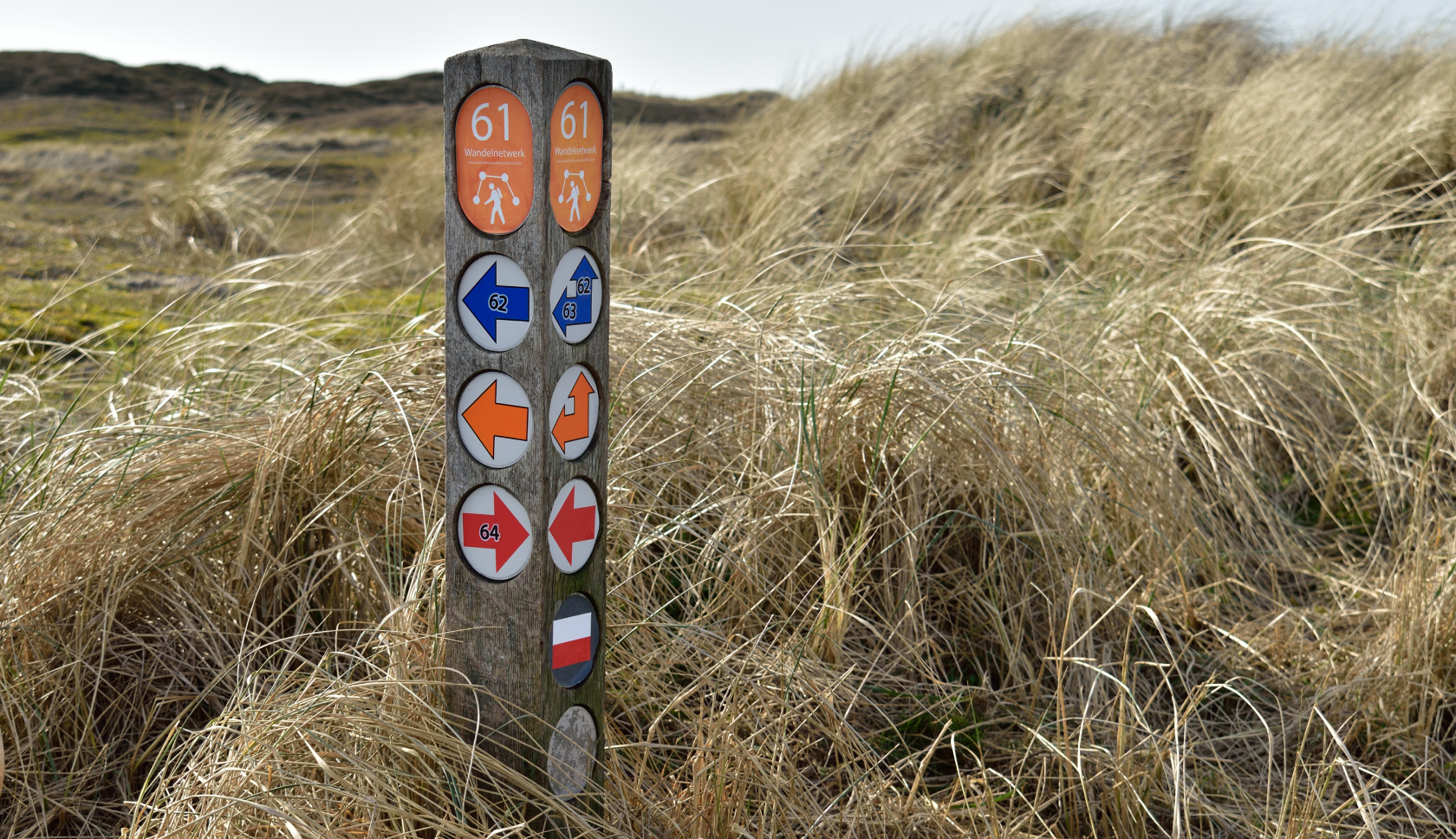 Een houten paal met gekleurde pijlen staat tussen duingras