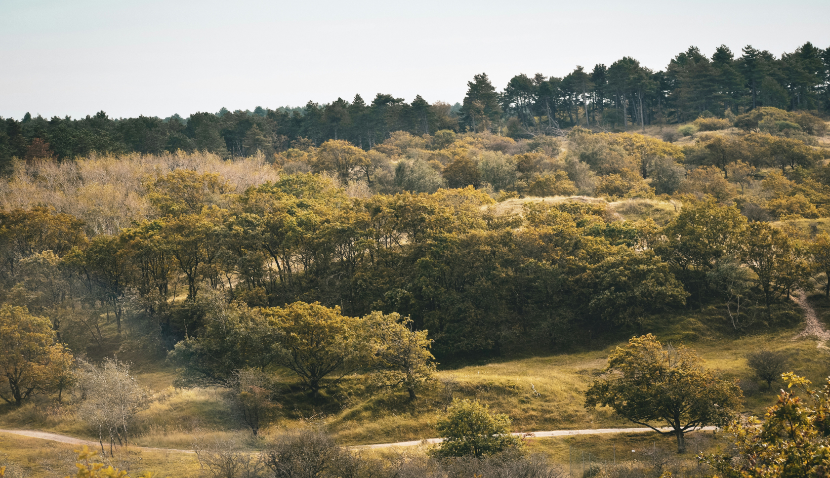 De Amsterdamse Waterleidingduinen hebben veel wandelroutes