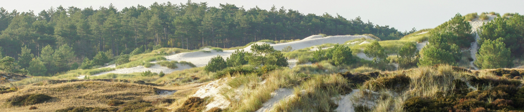 Noord-Holland heeft veel afwisselende landschappen waar je kunt wandelen