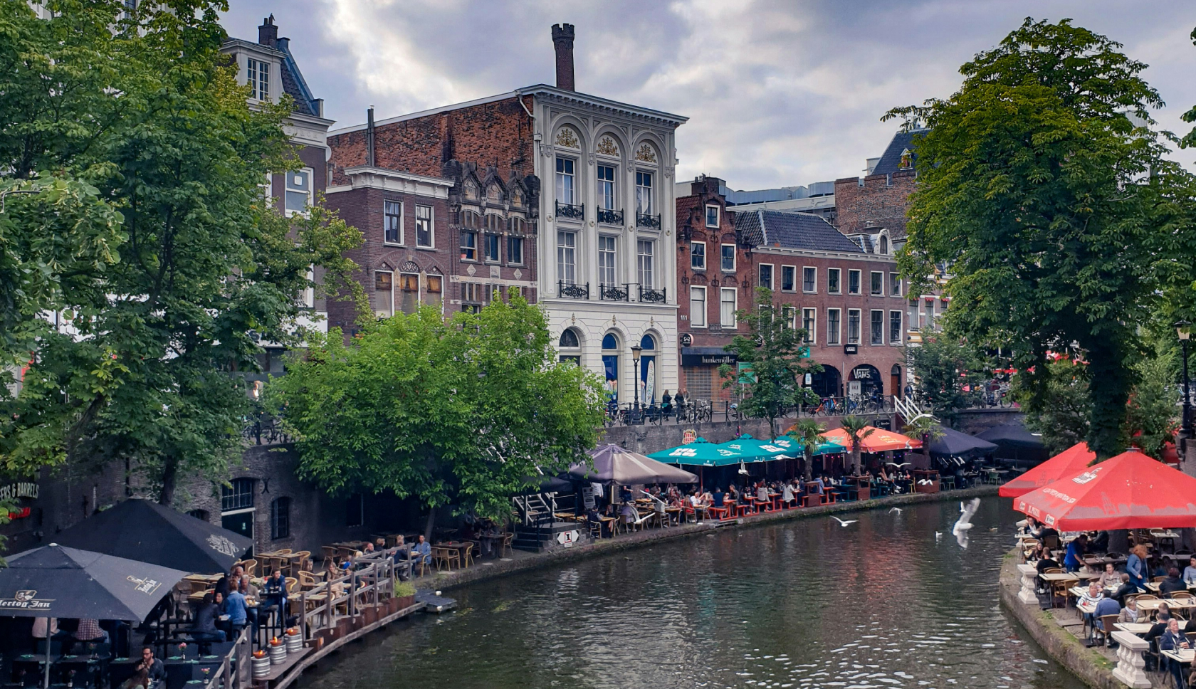 De Slufter is een bijzonder natuurgebied die je al wandelend kunt verkennen