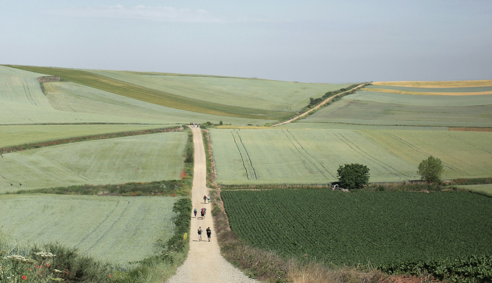 Een aantal mensen loopt op een landweg die door uitgestrekte, groene velden loopt