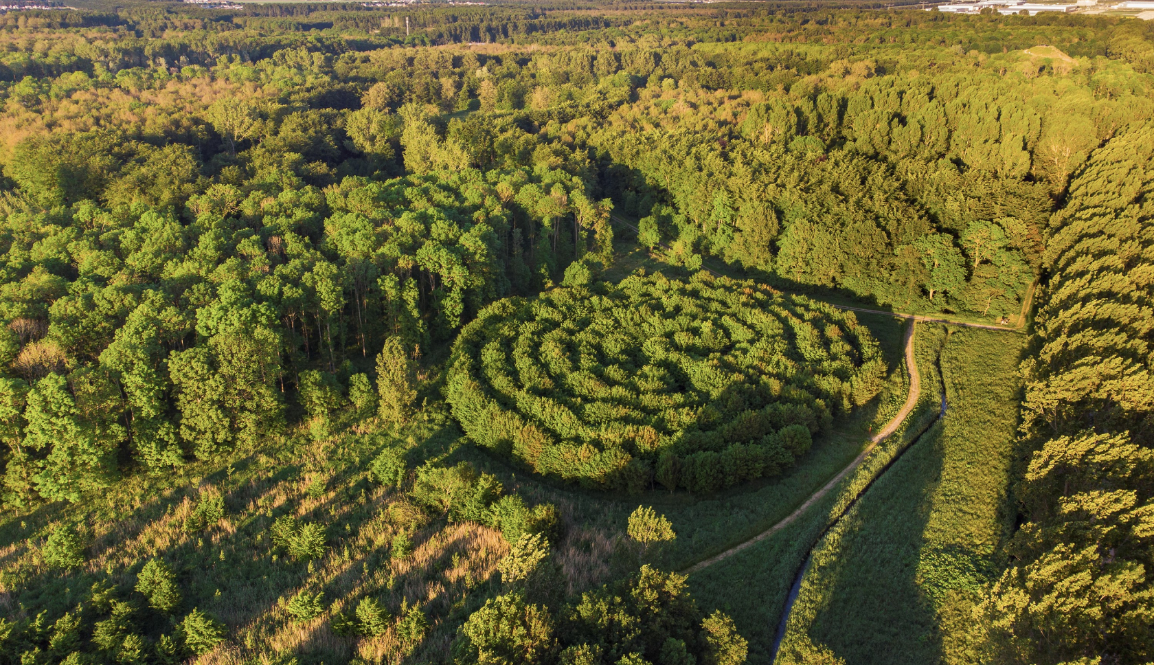 Een doolhof van struiken van bovenaf gefotografeerd