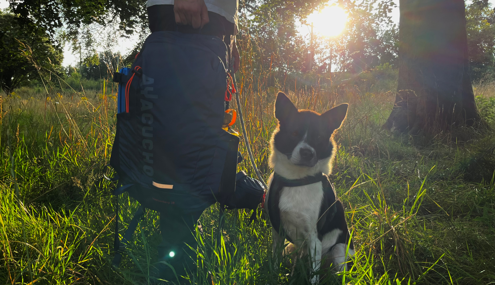 Iemand staat naast een zwart-witte hond en houdt een rugtas vast aan het handvat