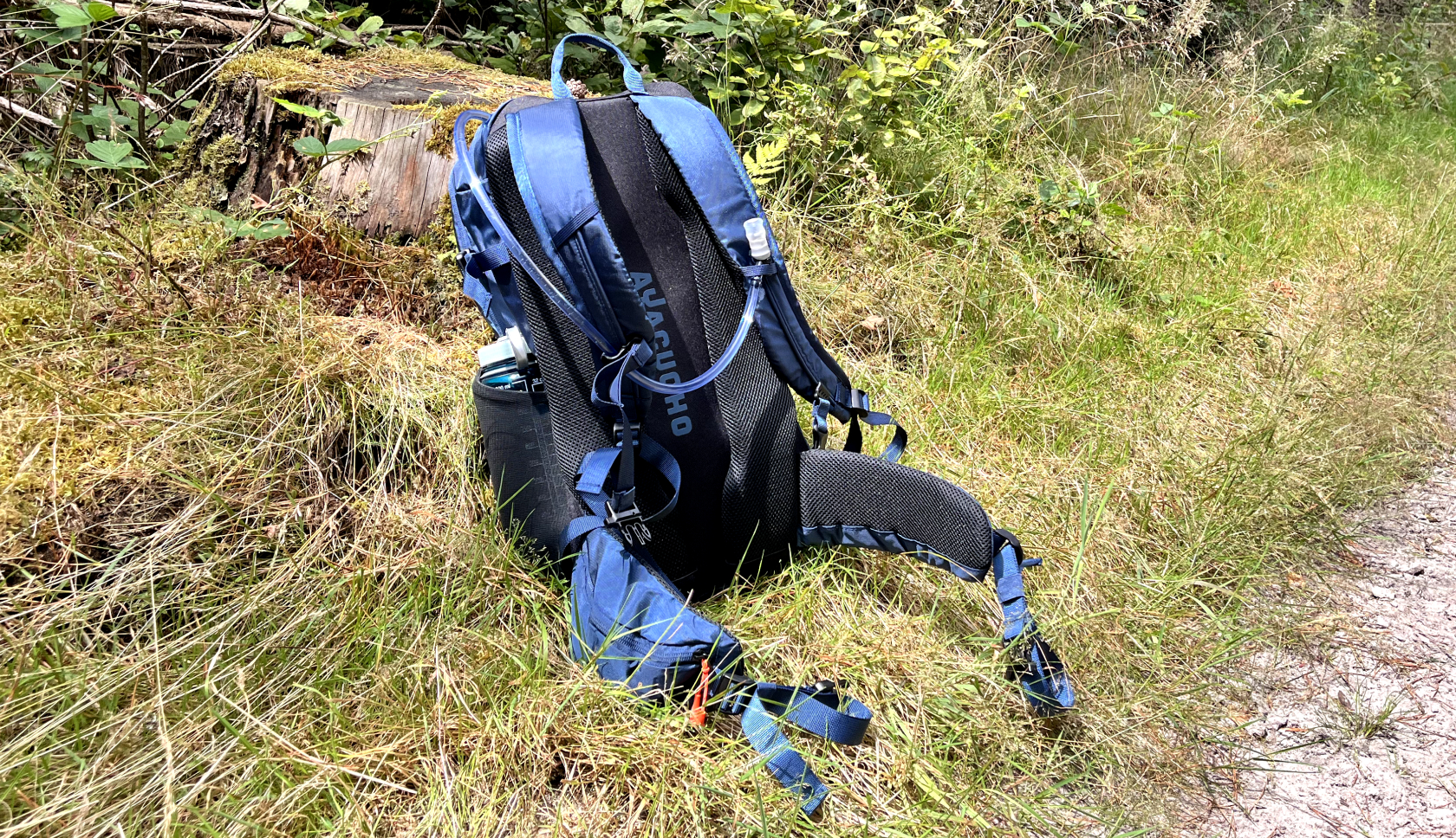 Een blauwe rugzak staat met het rugpand naar de camera in hoog gras