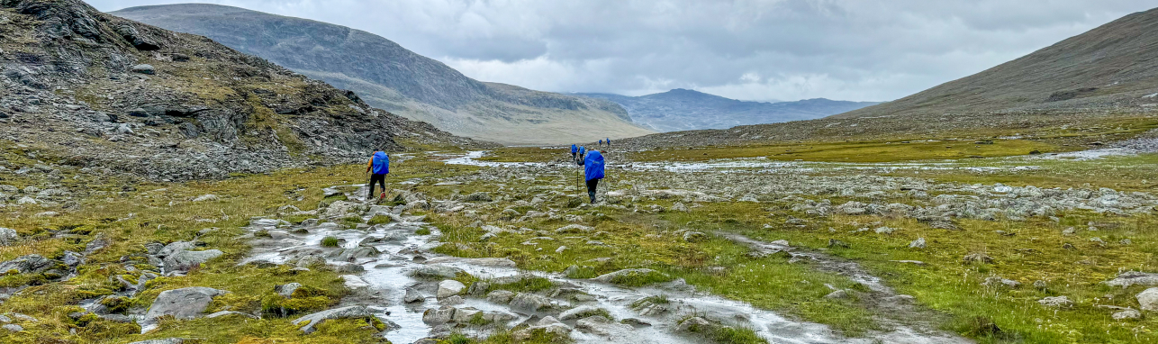 Hikers wandelen in een groen dal in Zweden