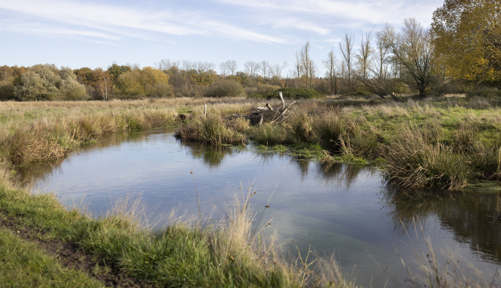 Boswachterspad Ter Wupping 