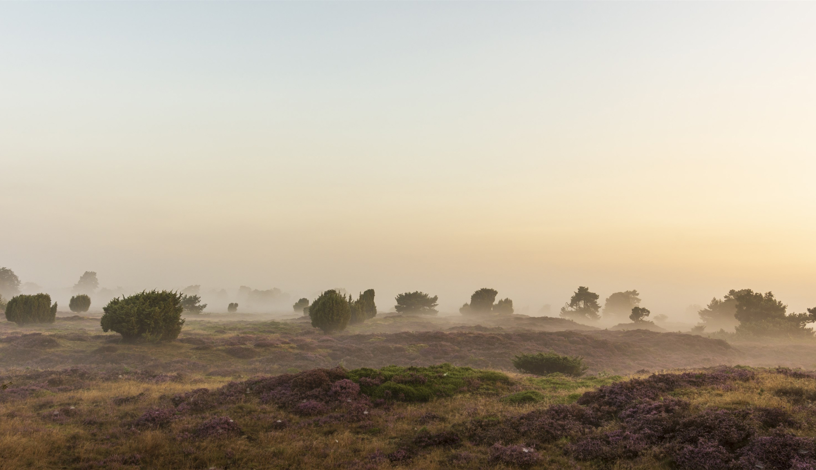 Landschap Hondsrug