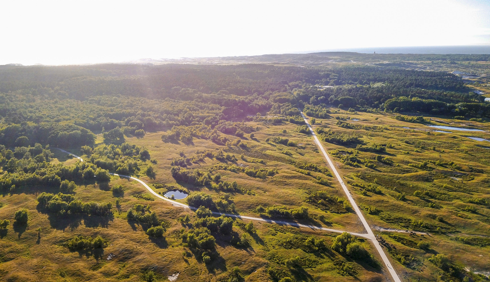 Boswachterspad Meeuwenduinen