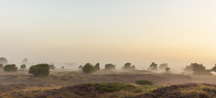 Herfstwandelingen: dit zijn de 7 favoriete wandelroutes van boswachters