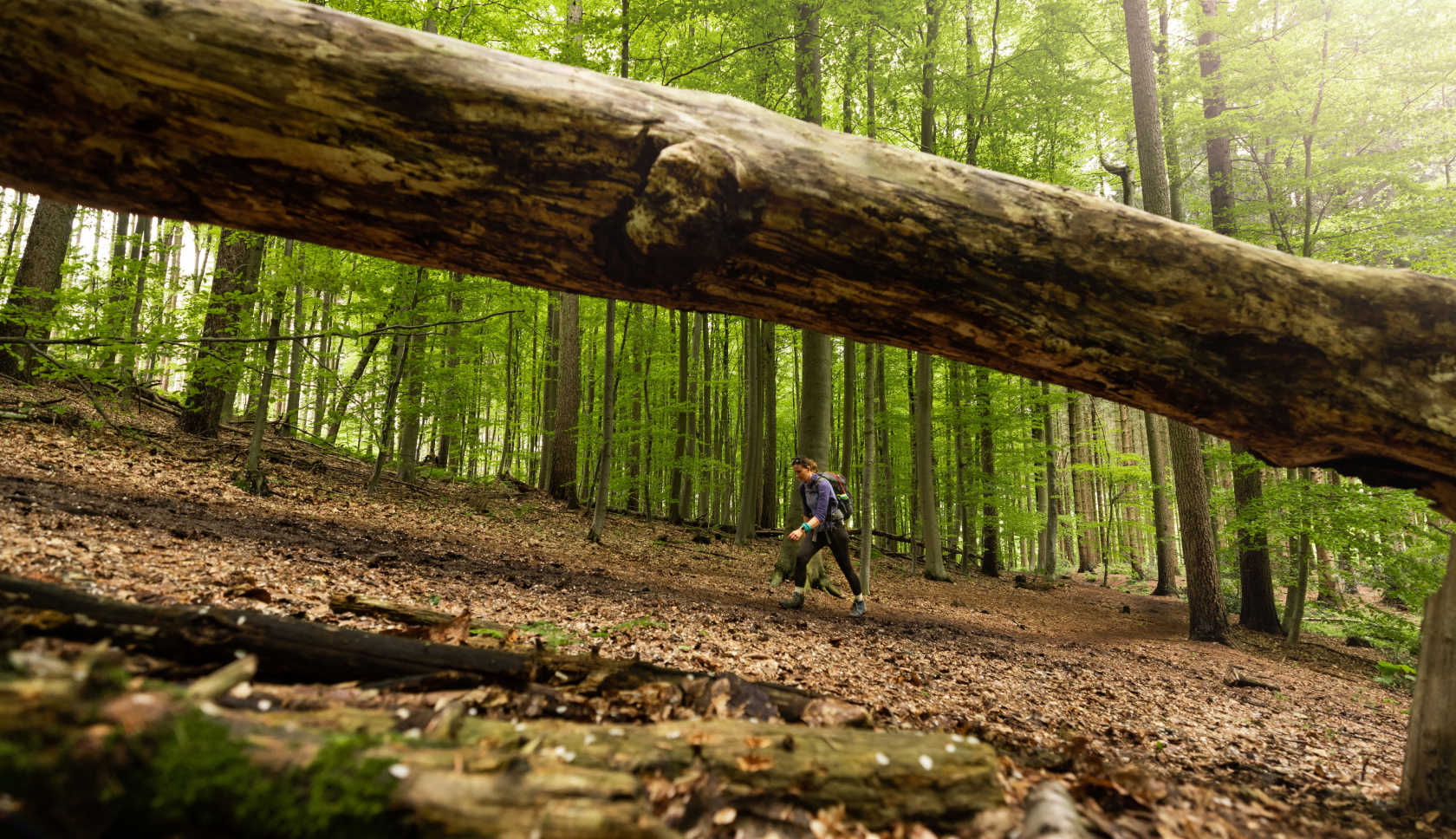 een vrouw loopt in de verte in het bos