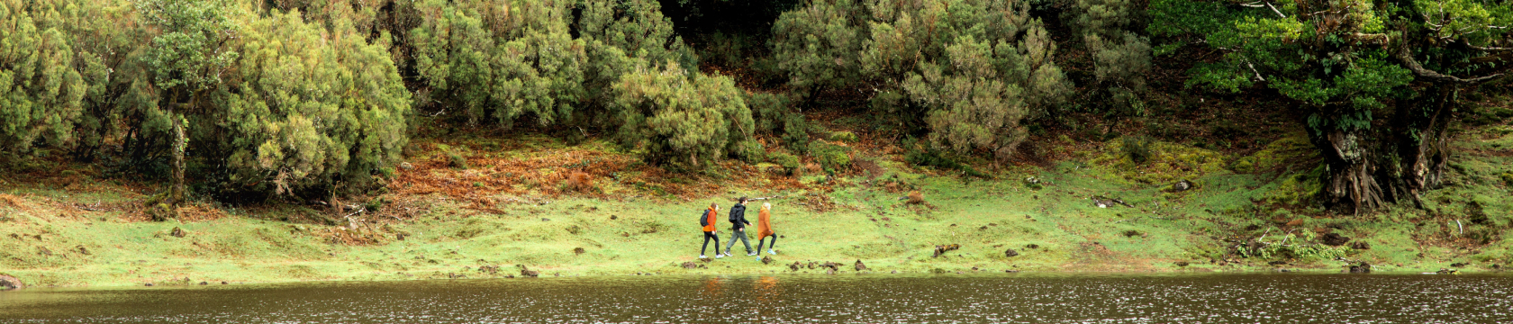 drie mensen wandelen in de verte langs een bosrand en een meer