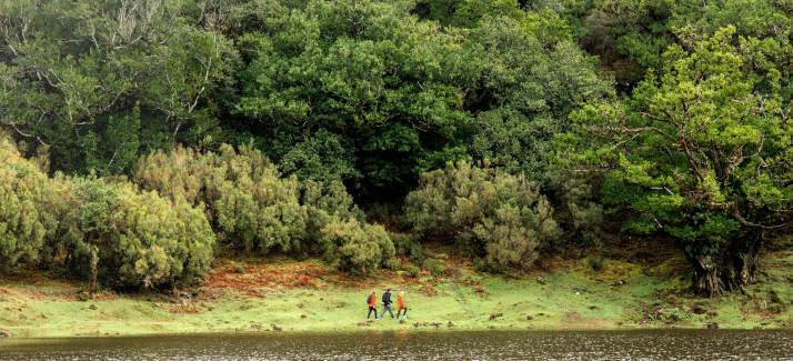 Deze 8 Nederlandse trails moet je echt hebben gelopen