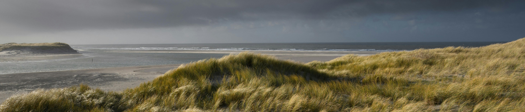 duingras met op de achtergrond de zee met een donkere lucht