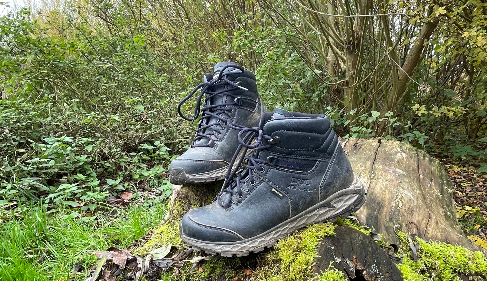 twee zwarte schoenen van het merk Meindl op een boomstam