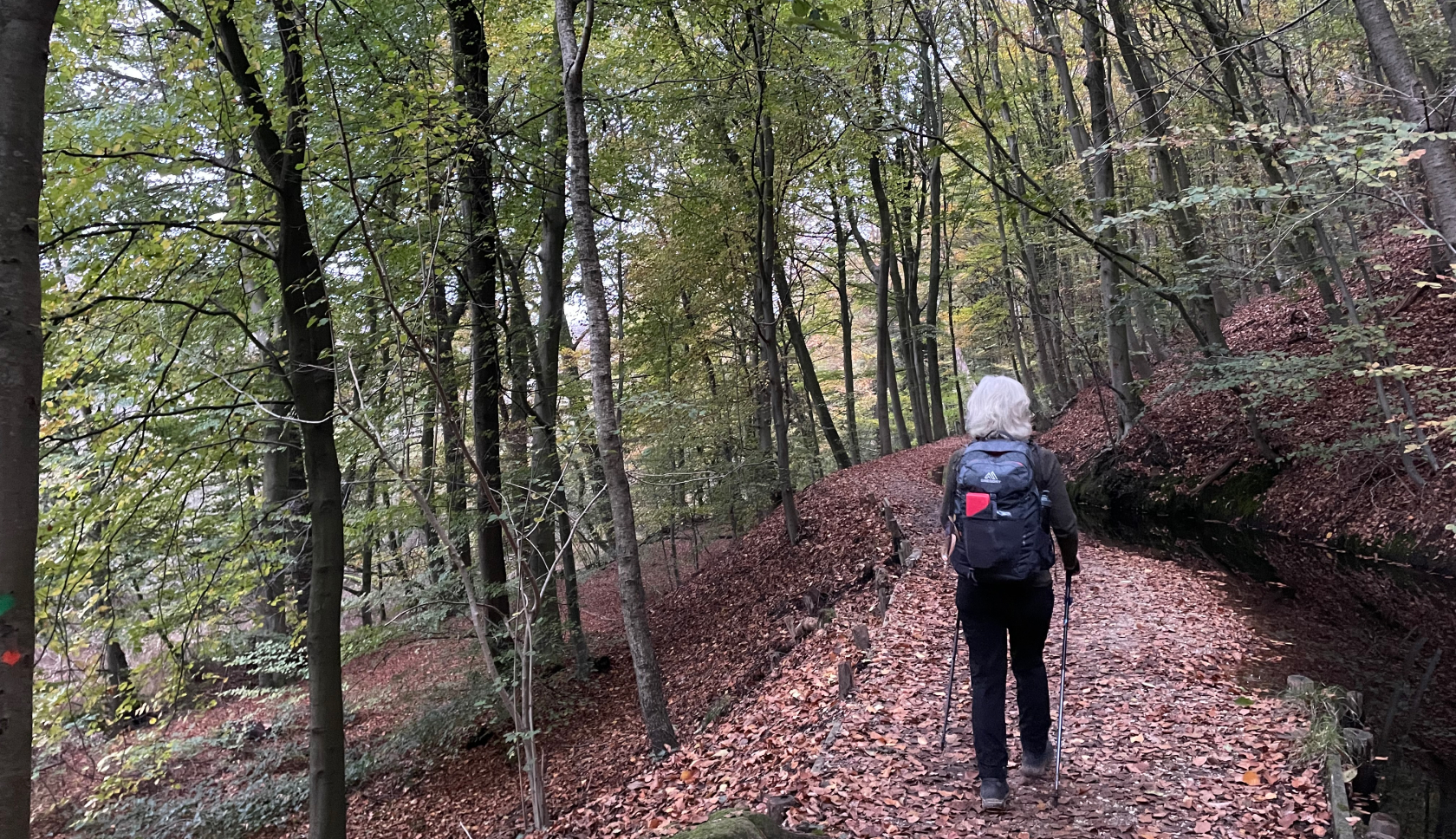 een vrouw wandelt in de bossen