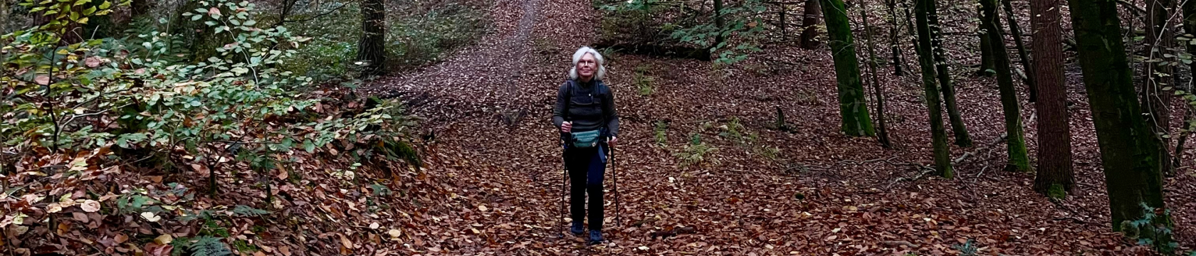 een vrouw wandelt in de bossen