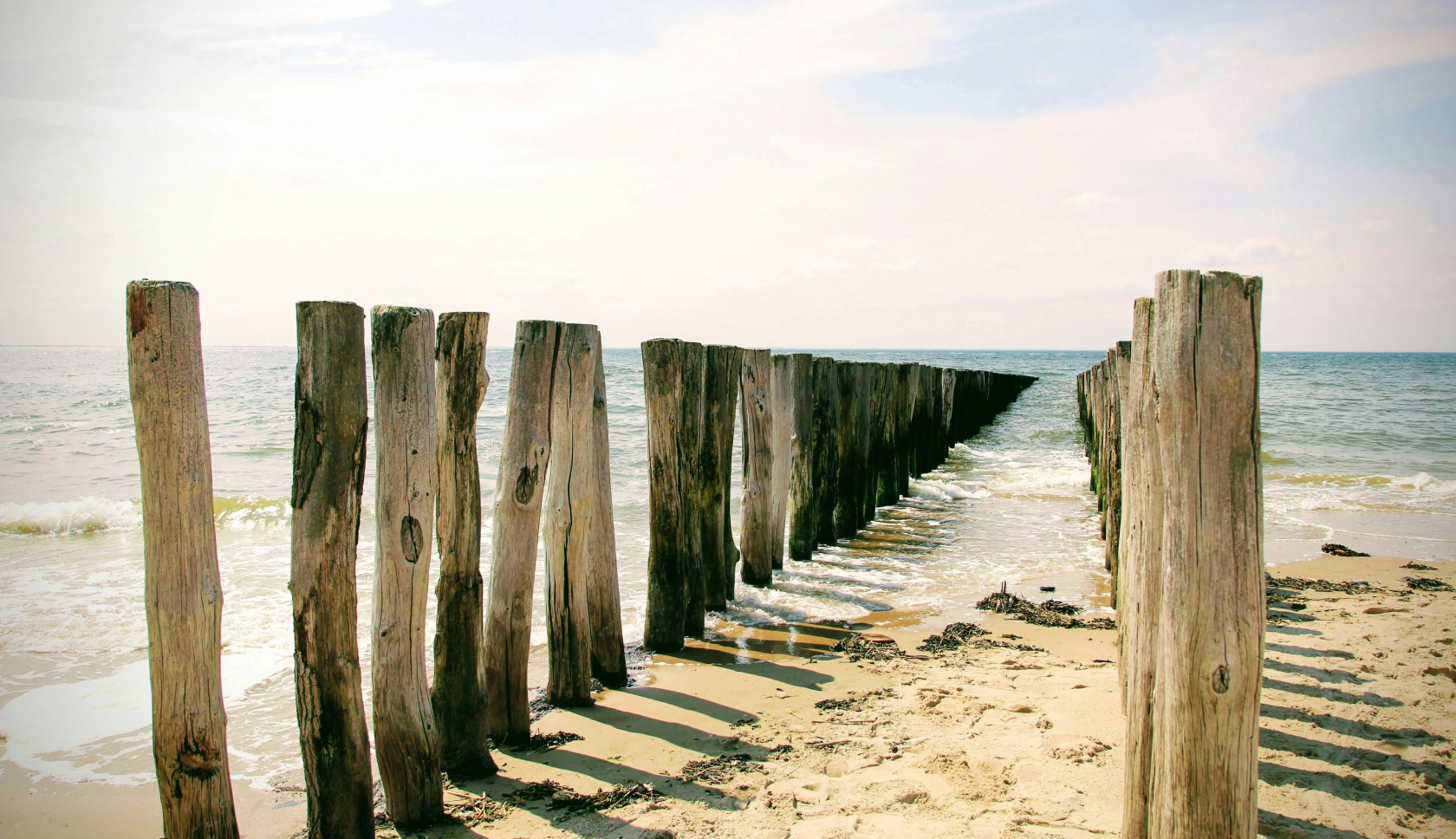 Strandwandeling in natuurgebied Meijendel