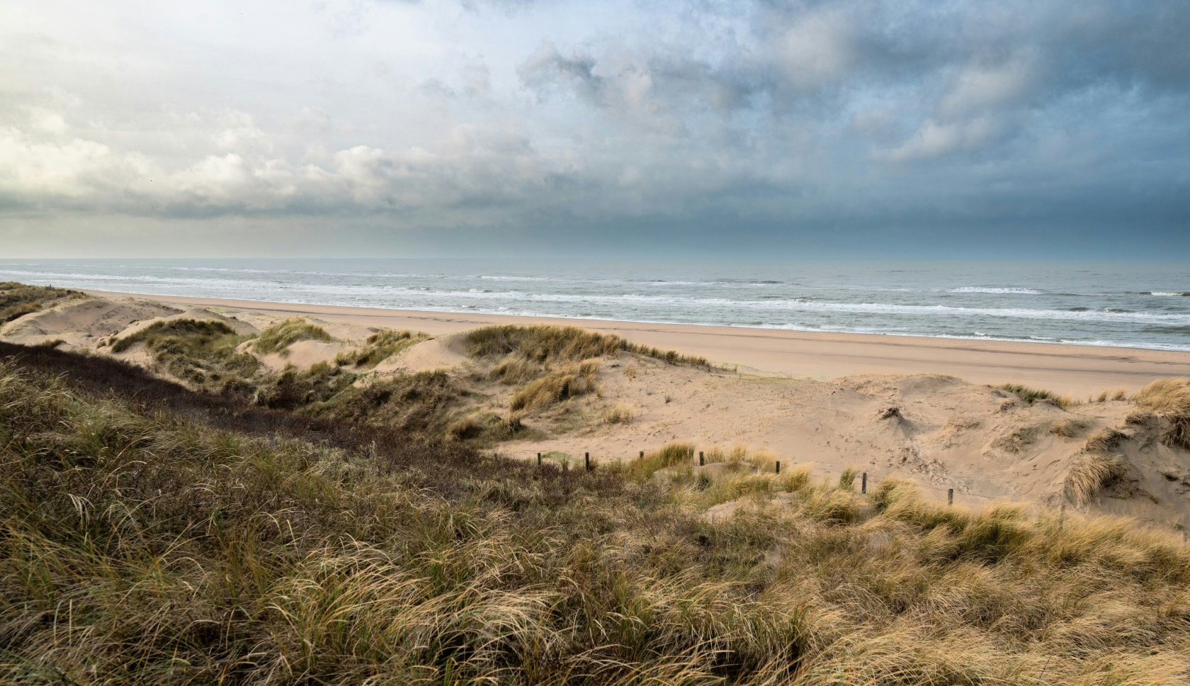 Duinen op Terschelling