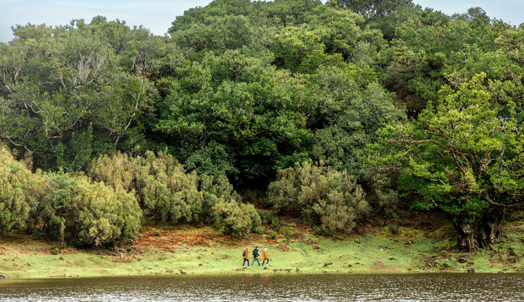 Klompenpaden, boswachterspaden van Staatsbosbeheer en NS-wandelingen zijn leuke trainingsroutes voor de Vierdaagse