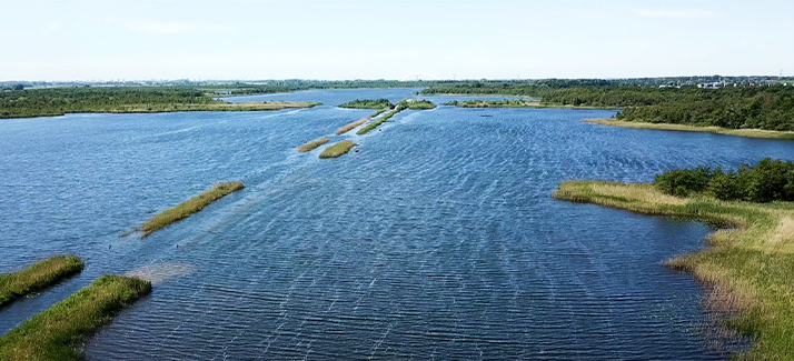 Naar buiten in Nederland: het Naardermeer