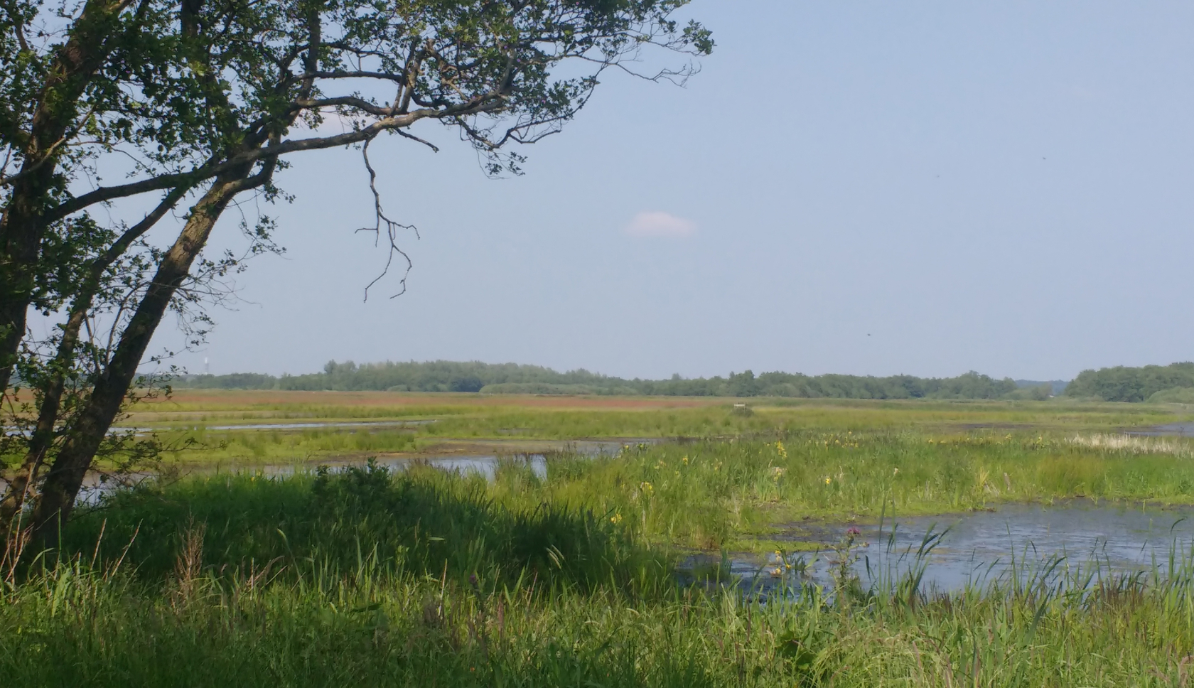 Klompenpad Zoddenpad in Tienhoven