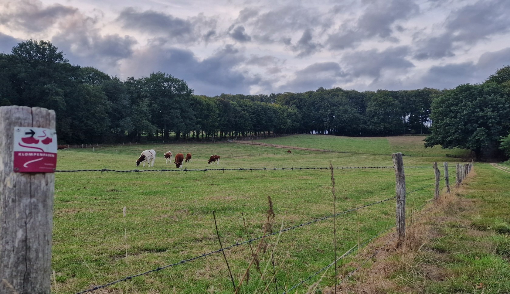 Klompenpad Rosandepad in Oosterbeek