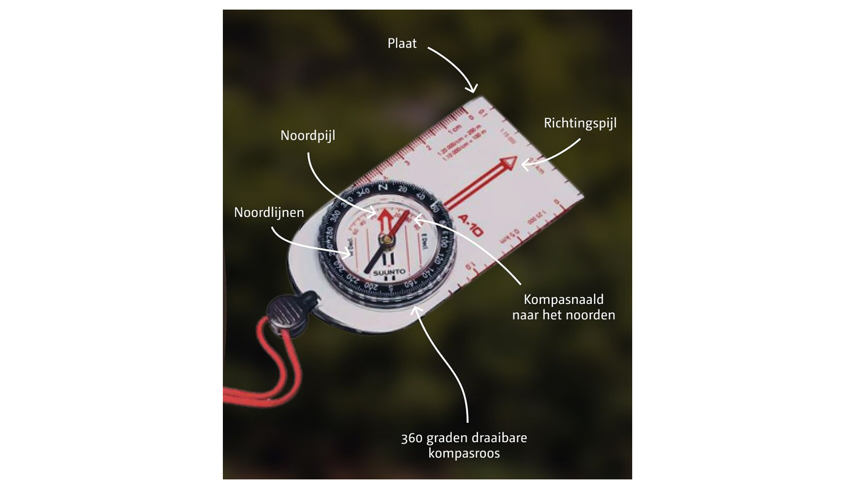 een vrouw wandelt in de bossen