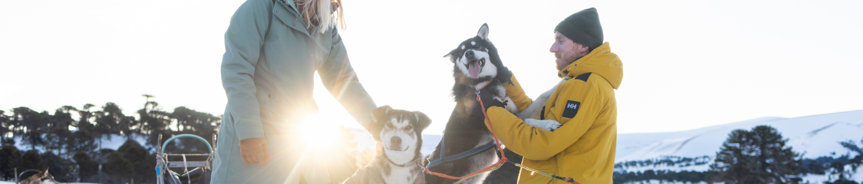 knuffelen met husky's in lapland