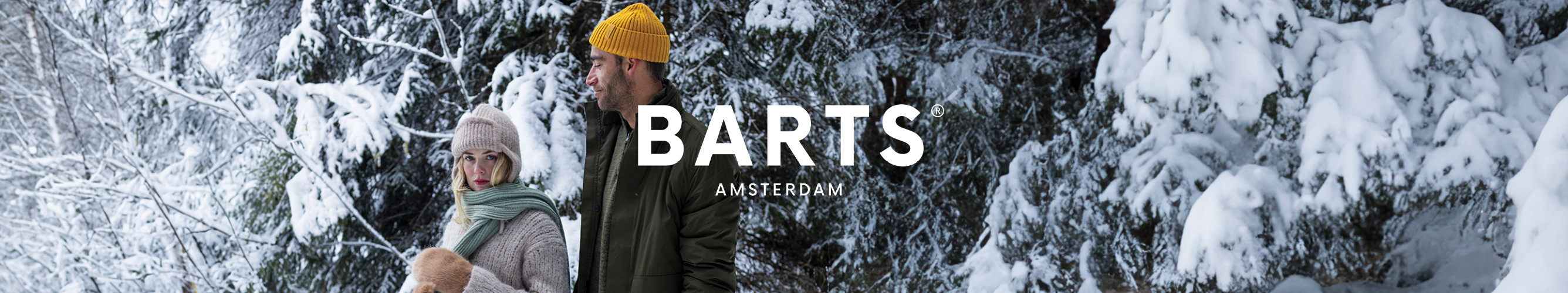 winterse afbeelding van Barts-collectie