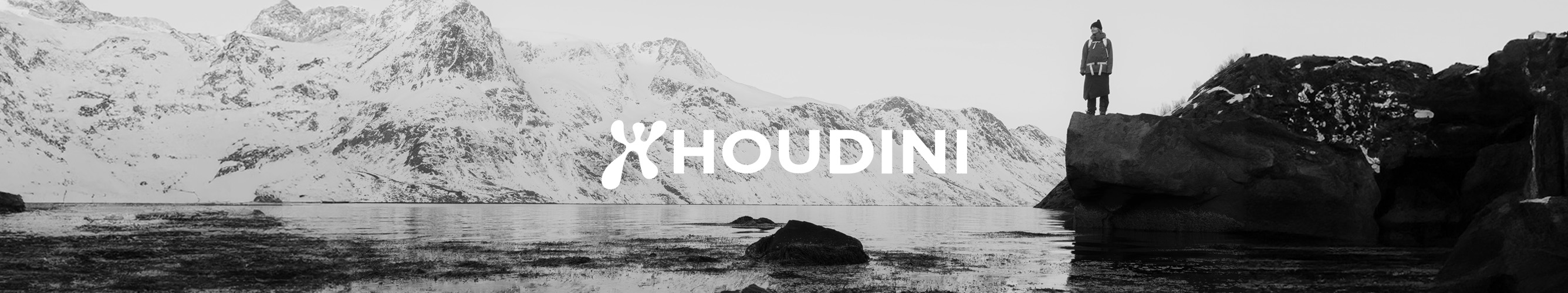 Houdini logo